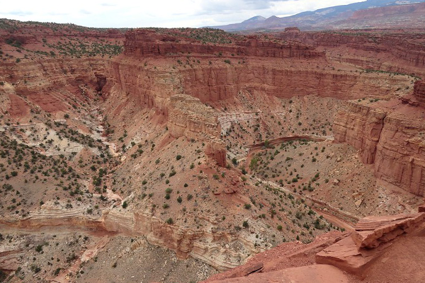 Goosenecks & Panorama Point